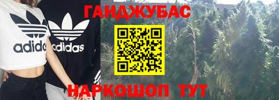 шишки Гай