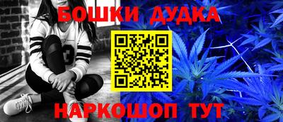 шишки Гай