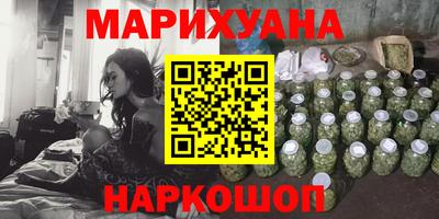 шишки Гай