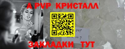 шишки Гай