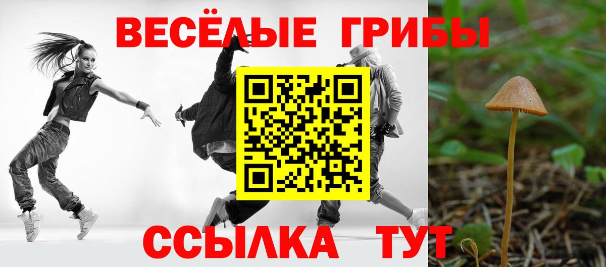 Псилоцибиновые грибы Cubensis  Галлюциногенные грибы ЛСД  закладки  Вход с VPN  Иркутск 